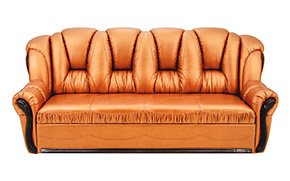 Диван АМ18 Д (дельфін) - Фото